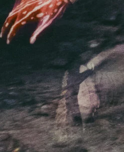 Keen Women's Jasper Rocks Sneaker X Hiking Patrol | Cuban Beige 16 Keen Women's Jasper Rocks Sneaker X Hiking Patrol | Cuban Beige -Keen KEEN W 1028832 HikingPatrolxJasperRocks Lifestyle PDP Single Left